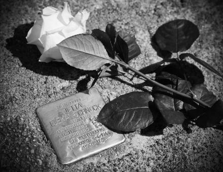 Zwart wit foto van een van de stolpersteine met een roos erlangs