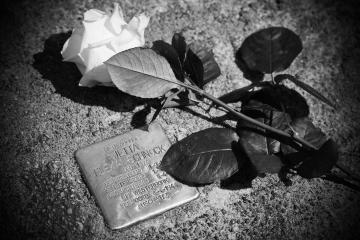 Zwart wit foto van een van de stolpersteine met een roos erlangs